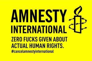 Фінське Amnesty International втратило пожертвування від 400 осіб після скандальної доповіді про ЗСУ