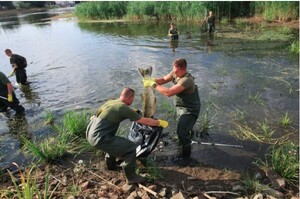 У Польщі екологічна катастрофа – з ріки Одра витягли вже 10 тонн мертвої риби