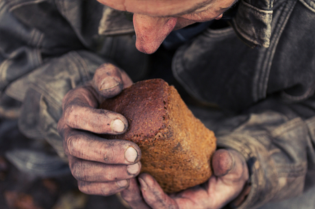 Hunger is canceled: How food security stabilisation will affect the support of Ukraine