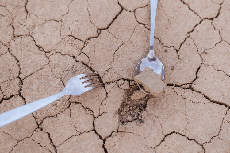 Карта дефіциту: чим загрожує світу найсерйозніша за 500 років посуха