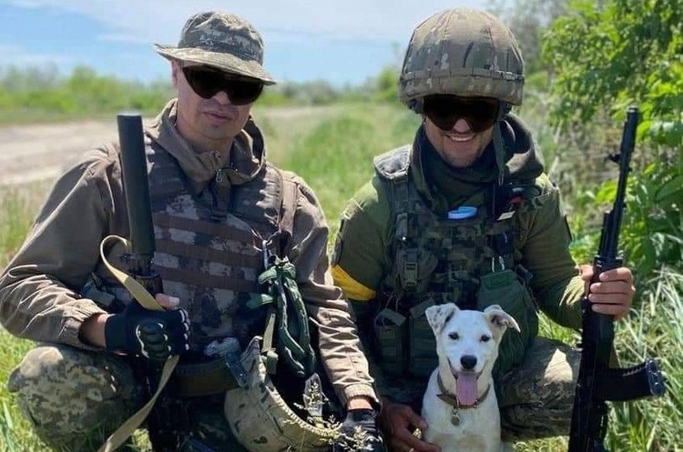 Українські війська успішно відбили наступ підрозділів противника на Авдіївському напрямку Українські війська успішно відбили наступ підрозділів противника на Авдіївському напрямку
