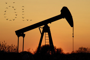 «Велика сімка» встановить граничну межу цін на російську нафту з 5 грудня, на нафтопродукти з 5 лютого – ЗМІ