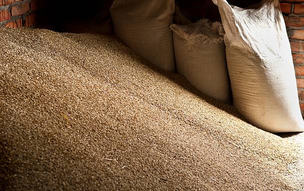 Україна експортувала вже понад 2 млн тонн товарів 	«зерновим коридором»