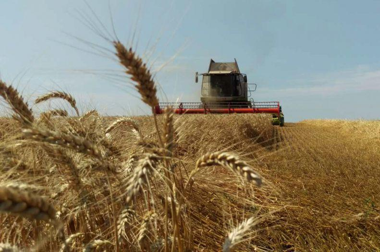 Українські аграрії зібрали вже 26 млн тонн врожаю за поточні жнива