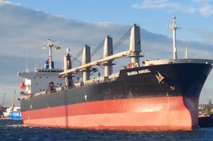 Ще одне судно з українськи збіжжям, зафрахтоване ООН для Африки, зайшло в український порт