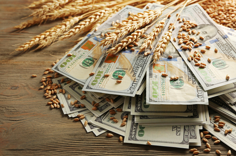 США виділяють $3 млрд у фонд продовольчої безпеки. Що з цього Україні?