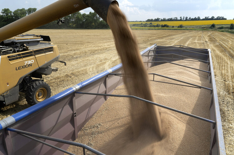 росія викрала з України зерна не менш як на $530 млн
