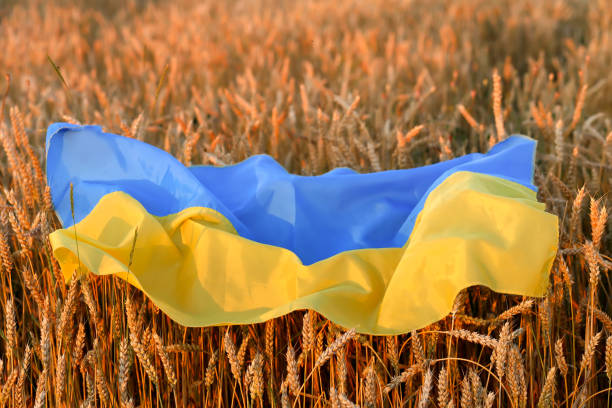 Експорт агропродукції з України зріс на 41% за місяць