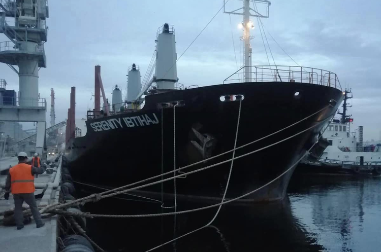 Україна експортувала ще 137 000 тонн зерна морськими шляхами