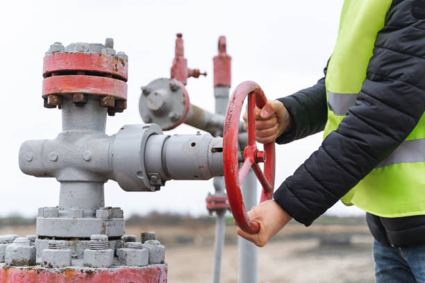 Постачання газу Трансанатолійським газогоном збільшать удвічі Постачання газу Трансанатолійським газогоном збільшать удвічі