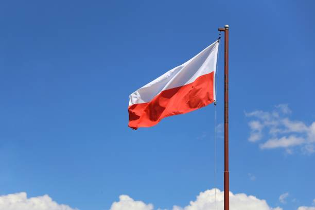 Польща не бачить ознак диверсії в ситуації з витоком на «Дружбі» – Reuters
