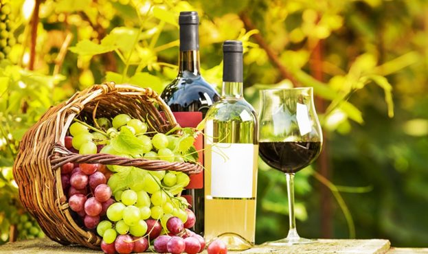 Україна відновлює членство в Міжнародній організації виноградарства та виноробства після 14 років перерви