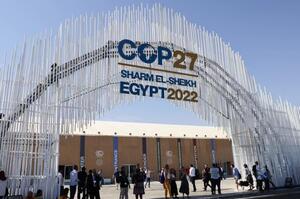 Українці на кліматичному саміті у Єгипті зіпсували виступ російських чиновників