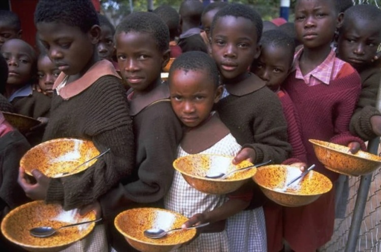 Україна витратила на гуманітарну програму із запобігання голоду в Африці 420 млн грн