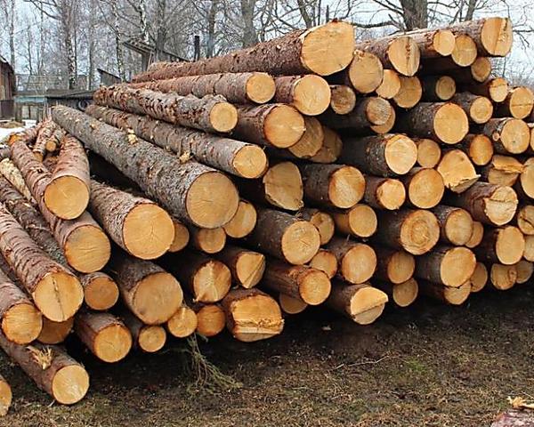 Кабмін заборонив експорт паливної деревини – прем’єр Кабмін заборонив експорт паливної деревини – прем’єр