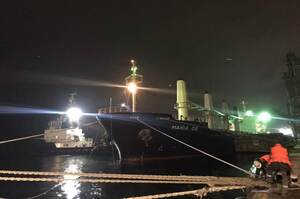«Зернова ініціатива»: вийшли ще три судна з 61 000 тонн агропродукції для Азії та Європи
