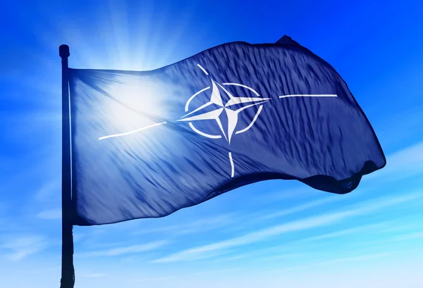Союзники НАТО оголосили про додаткові внески в пакет усеосяжної допомоги Україні
