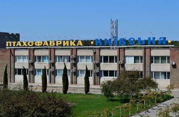 АМКУ оштрафував п'ять компаній за змову на торгах з продажу птахофабрики «Київська» АМКУ оштрафував п'ять компаній за змову на торгах з продажу птахофабрики «Київська»