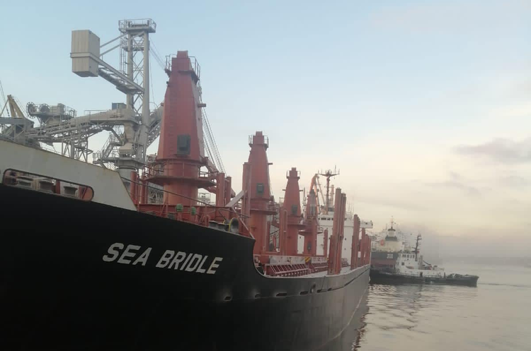Україна експортувала ще 221 000 тонн зерна морем Україна експортувала ще 221 000 тонн зерна морем