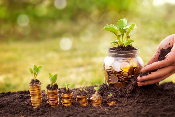 Ukrainian agricultural sector suffered $2.25 billion losses for 6 months of full-scale war Ukrainian agricultural sector suffered $2.25 billion losses for 6 months of full-scale war