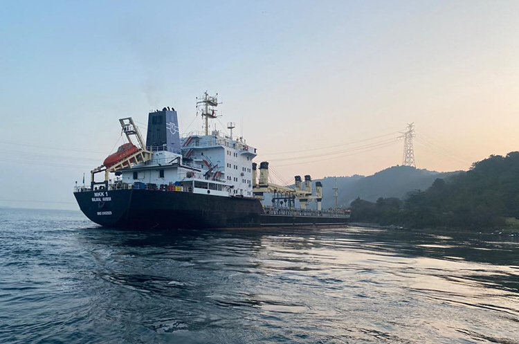 Vessel traffic in the Bosporus Strait suspended due to a vessel from Ukraine Vessel traffic in the Bosporus Strait suspended due to a vessel from Ukraine