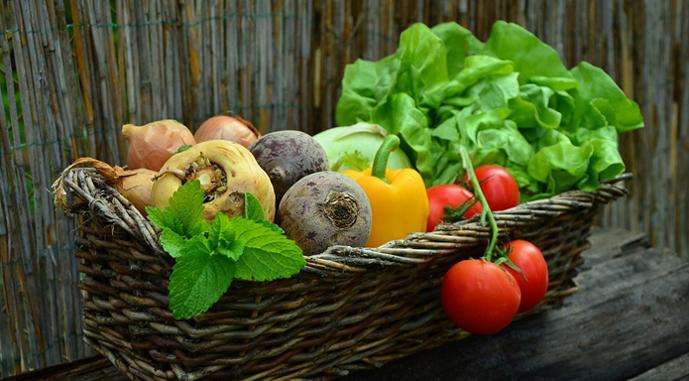 ФАО допоможе українським аграріям насінням 12 овочів