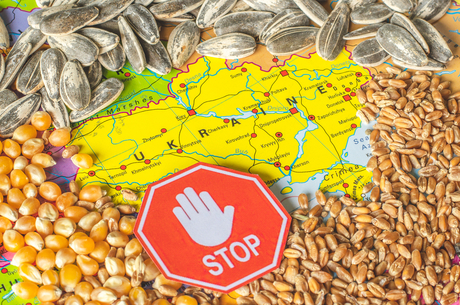 Separating grain: Europe is "flooded" with Ukrainian agricultural products. Will this overstocking hurt relations with the EU?