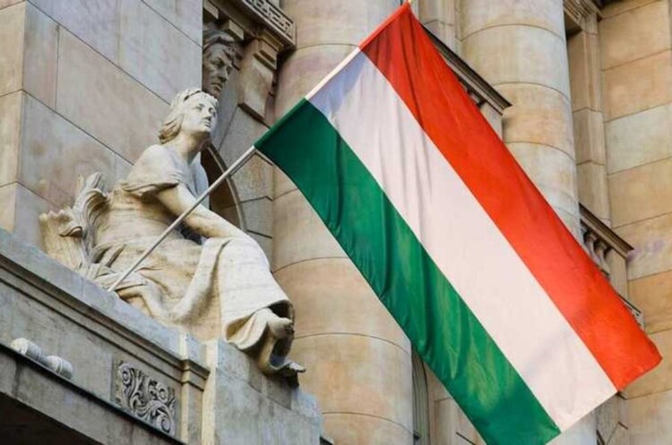 Посол США відреагував на закиди МЗС Угорщини про політику Будапешта щодо України