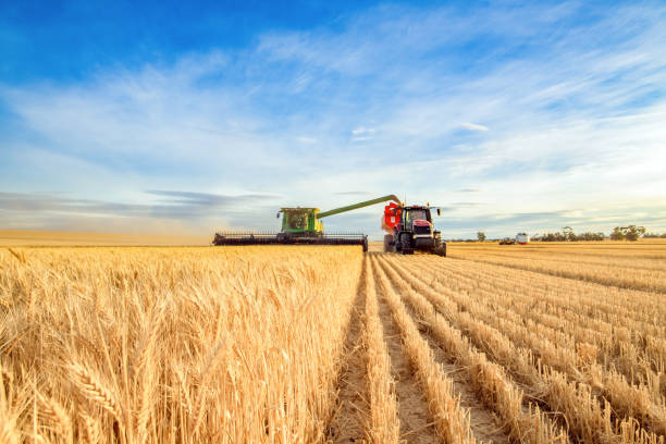 Україна стане повноправним членом IFAD Україна стане повноправним членом IFAD