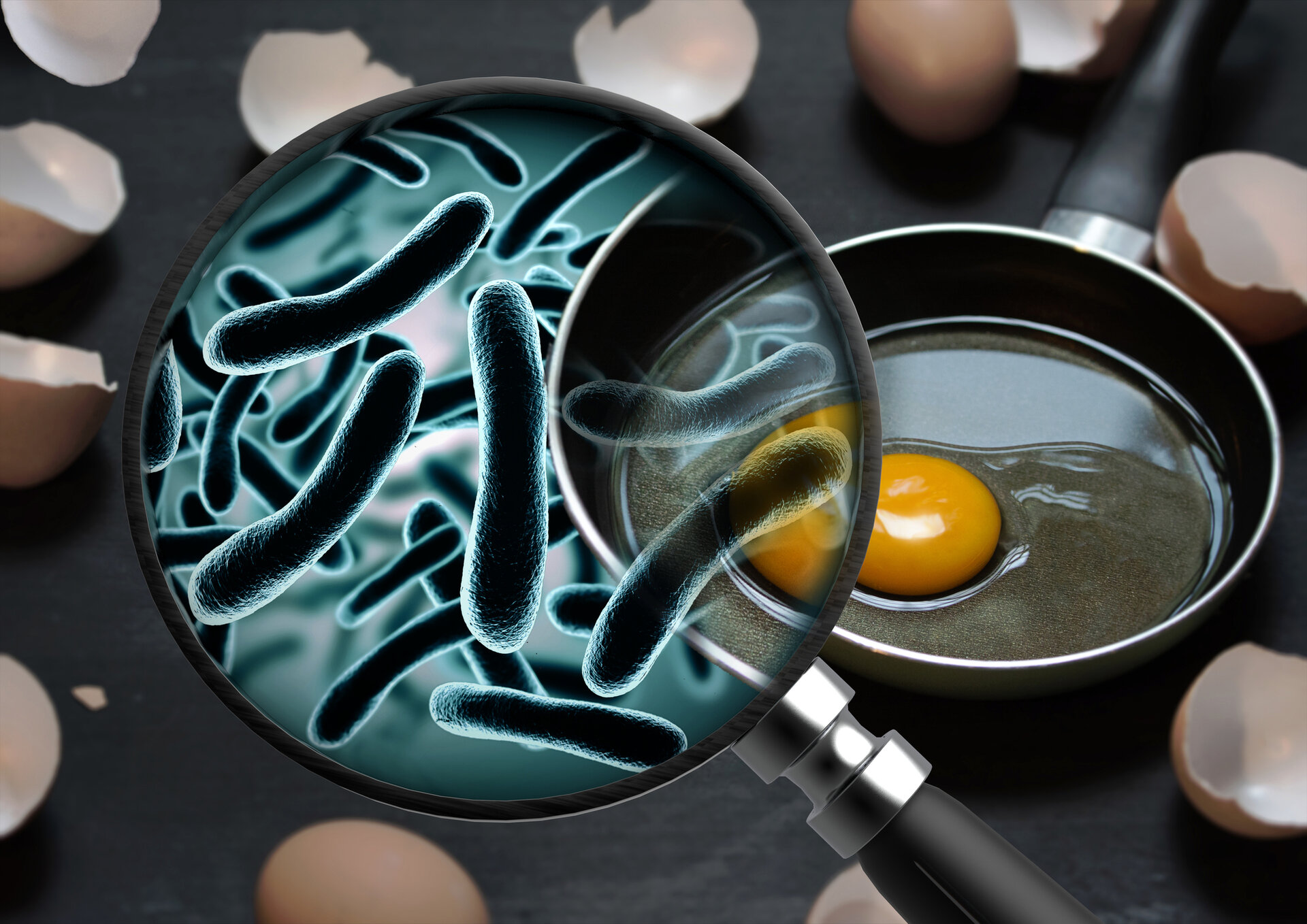 Egg fever: The outbreak of salmonellosis in Kyiv is a logical consequence of wartime realities. To what extent is the state control system to blame and how can citizens protect themselves?