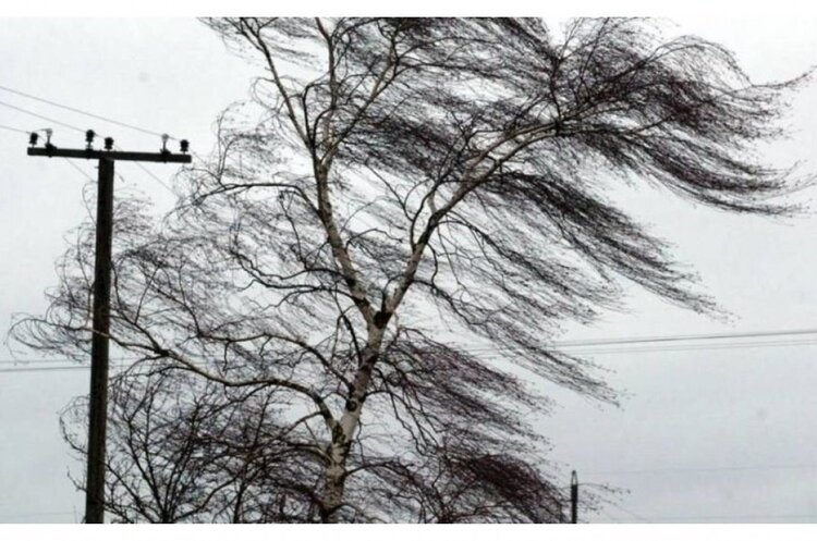 Через шквальний вітер 137 населених пунктів у шести областях лишилися без електропостачання