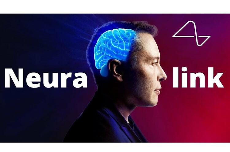 U.S. authorities do not allow Musk's company to test brain chips on humans U.S. authorities do not allow Musk's company to test brain chips on humans