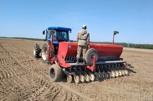 Second wartime sowing: This year Ukraine sows record amounts of sunflower, with corn becoming unprofitable. What more to expect from the 2023 sowing season