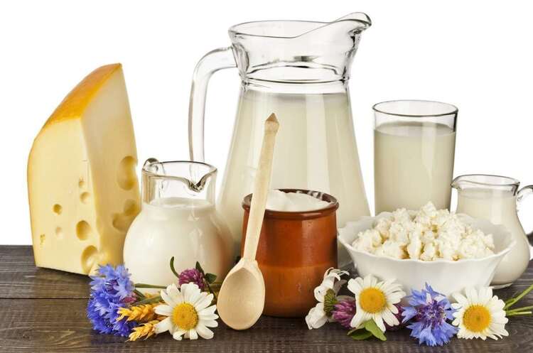 European Dairy Association supports duty-free exports of Ukrainian products to the EU European Dairy Association supports duty-free exports of Ukrainian products to the EU