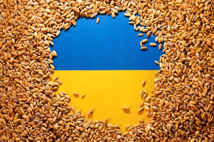 ЄС цього тижня обговорить заборону Польщі й Угорщини на імпорт зерна з України – Reuters ЄС цього тижня обговорить заборону Польщі й Угорщини на імпорт зерна з України – Reuters