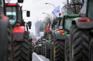 Їстівний бан: що означає заборона на аграрний імпорт і транзит з України, запроваджена кількома країнами ЄС