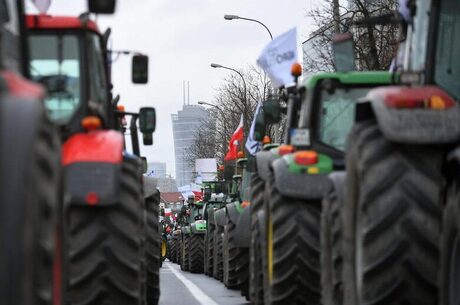 Foodie ban: What does the ban on agricultural imports and transit from Ukraine imposed by several EU countries mean?