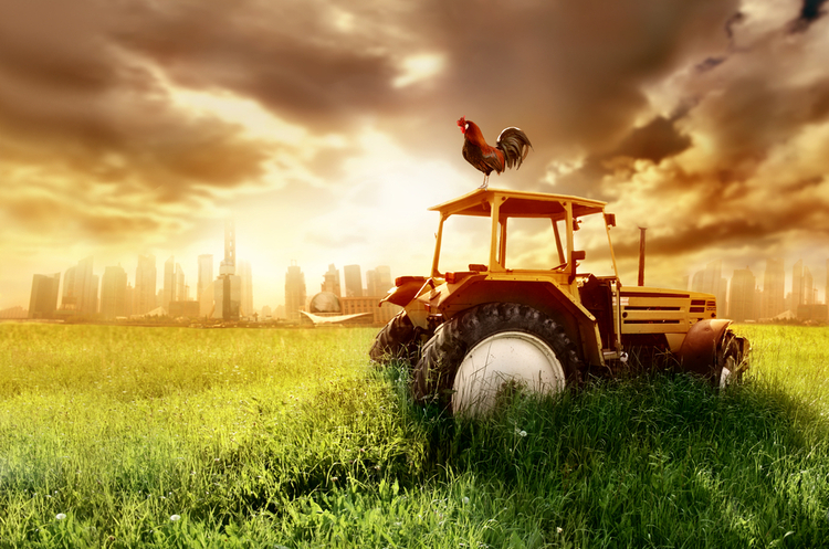 15 глобальных трендов, которые определят будущее сельского хозяйства и всей планеты
