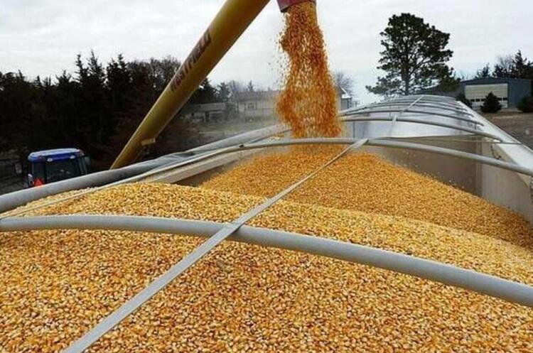 Україна відновить транзит агропродукції через Польщу з 21 квітня – міністр АПК Україна відновить транзит агропродукції через Польщу з 21 квітня – міністр АПК