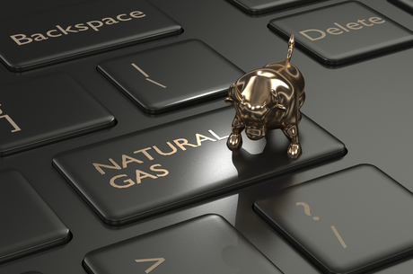 The NJSC factor: How did Naftogaz's debut on the Ukrainian Energy Exchange go?