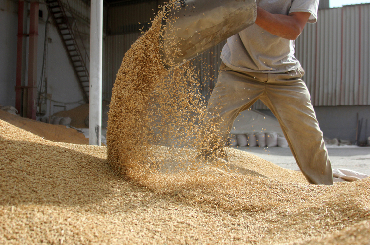 Exporting grain from Ukraine is getting increasingly difficult. What can it be processed into within the country, where can it be used, and who can it be sold to?