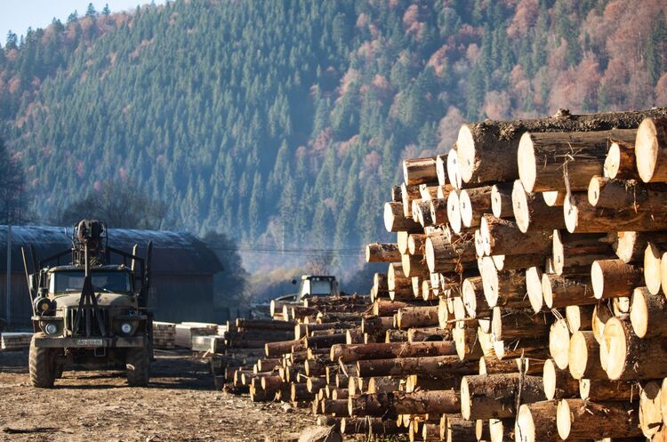 фото DR З 1 червня в Україні введуть електронну видачу лісорубних квитків та сертифікатів походження лісоматеріалів