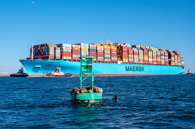 Maersk зацікавилася концесією контейнерного терміналу МТП «Чорноморськ» Maersk зацікавилася концесією контейнерного терміналу МТП «Чорноморськ»