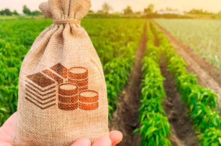 З початку року аграрії отримали 21 млрд грн за програмою «Доступні кредити 5-7-9»