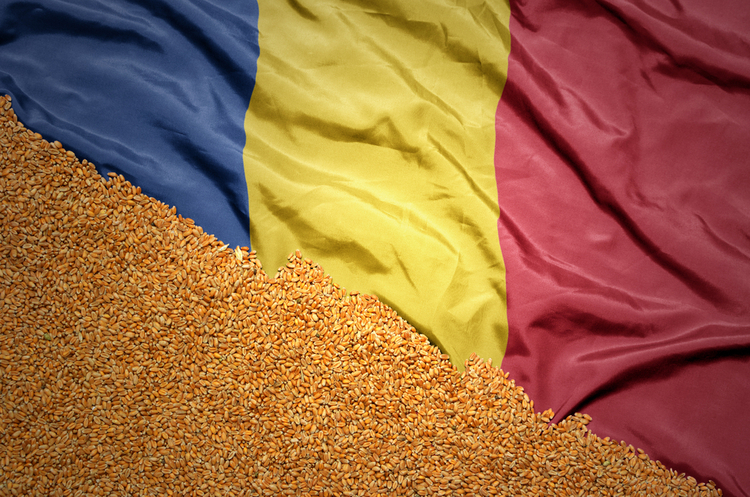 Чому Румунія лобіює продовження заборони на ввезення українського зерна до кінця календарного року?