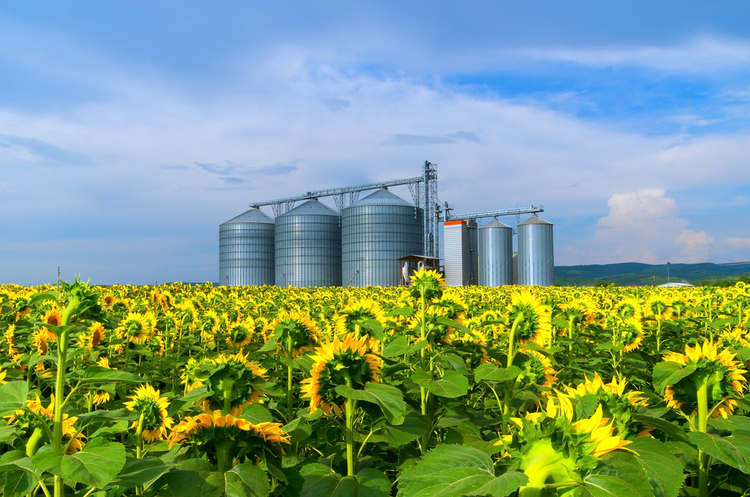 The season ended: How agricultural exports managed to hold up at pre-war levels