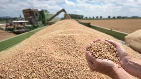 Ф'ючерси на пшеницю в Чикаго зросли на 4,2% після заяви росії про припинення дії зернової угоди – Bloomberg Ф'ючерси на пшеницю в Чикаго зросли на 4,2% після заяви росії про припинення дії зернової угоди – Bloomberg