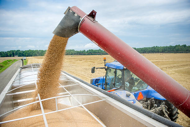 П'ять країн ЄС хочуть продовжити заборону на імпорт с/г продукції з України до кінця року – Reuters П'ять країн ЄС хочуть продовжити заборону на імпорт с/г продукції з України до кінця року – Reuters