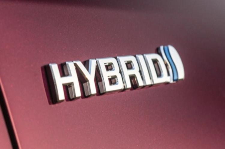 In July of this year, demand for hybrid passenger cars was the highest in the last 19 months – Ukravtoprom In July of this year, demand for hybrid passenger cars was the highest in the last 19 months – Ukravtoprom