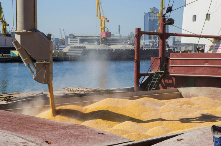 Lloyd’s близька до відновлення страхування суден із перевезення зерна в Чорному морі – FT